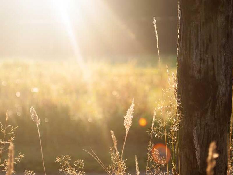 搬进新家 New Home